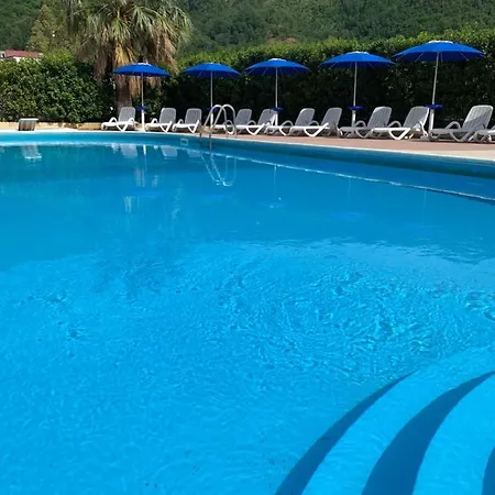 Hotel Le Mimose Acquappesa